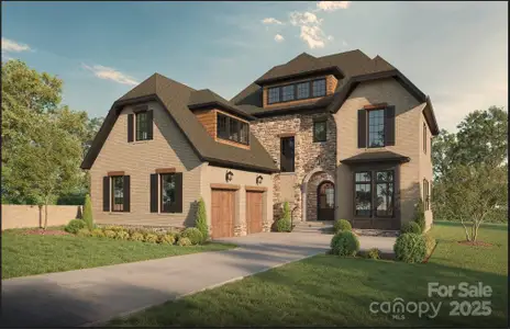 New construction Single-Family house 1007 Dacavin Dr, Charlotte, NC 28226 - image