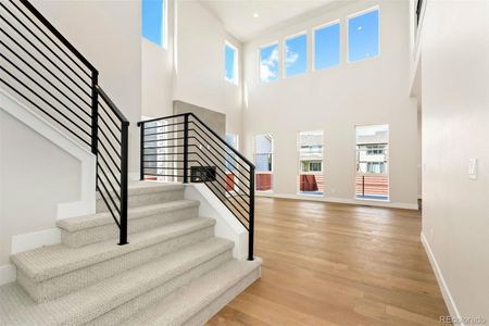 New construction Single-Family house 1714 Branching Canopy Dr, Windsor, CO 80550 Plan 6- photo 0