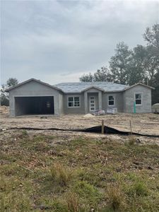 New construction Single-Family house 12757 Se 104Th Ter, Belleview, FL 34420 - image