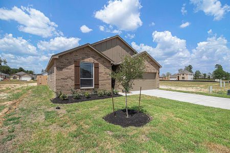 Grand Oaks Reserve by Kendall Homes in Cleveland - photo 10 10