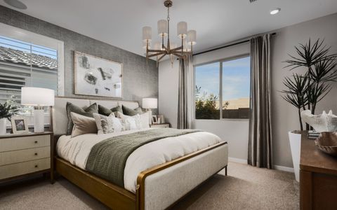 New construction Single-Family house 10078 Gold Stone Trl, Apache Junction, AZ 85140 plan Lotus - image 8