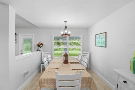 New construction Single-Family house 6788 Sw 179Th Avenue Rd, Dunnellon, FL 34432 - image