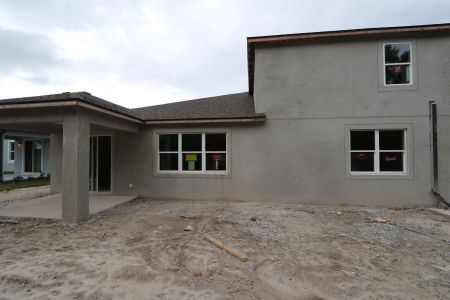 New construction Single-Family house 9603 Crescent Ray Dr, Wesley Chapel, FL 33545 Barcello Bonus- photo 7 7