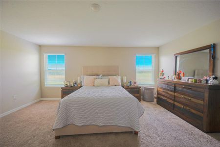 New construction Single-Family house 7917 Peace Lily Ave, Wesley Chapel, FL 33545 plan Valencia - image 15