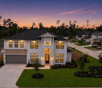 New construction Single-Family house 416 Venado View Ct, Conroe, TX 77304 - image