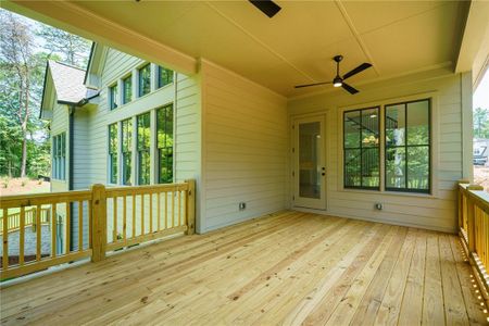 New construction Single-Family house 248 Reese Wy, Ball Ground, GA 30107 - image 4