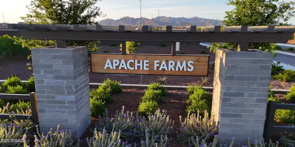 New construction Single-Family house 24254 W Hacienda Ave, Buckeye, AZ 85326 plan Palo Verde - image