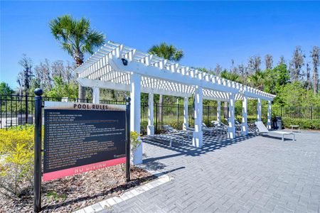 New construction Townhouse house 1291 Colt Creek Pl, Wesley Chapel, FL 33543 null- photo 11 11