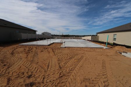 New construction Single-Family house 12263 Hilltop Farms Dr, Dade City, FL 33525 Sentinel- photo 6 6