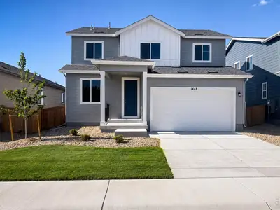 New construction Single-Family house 1448 Boyle St, Windsor, CO 80550 plan Kensington - image