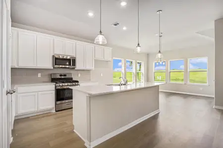New construction Single-Family house 2048 Twin Lakes Blvd, West Columbia, TX 77486 - image 4