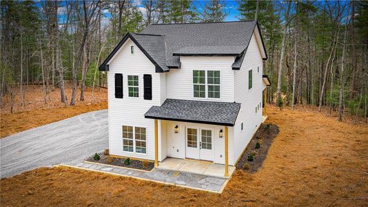 New construction Single-Family house 56 Running Brooke Ct, Morganton, GA 30560 - image