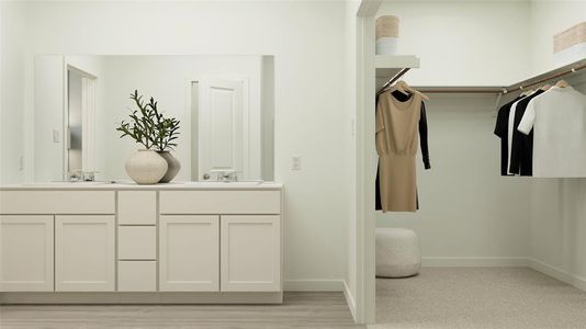 Walk in closet featuring sink