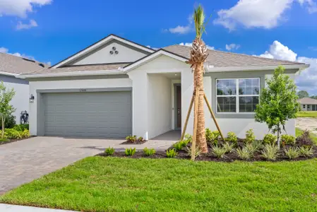 New construction Single-Family house 12406 49Th St E, Parrish, FL 34219 plan Glades - image