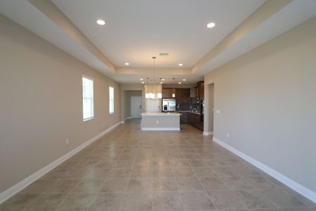 New construction Single-Family house 38357 Palomino Dr, Dade City, FL 33525 Picasso Bonus- photo 29 29