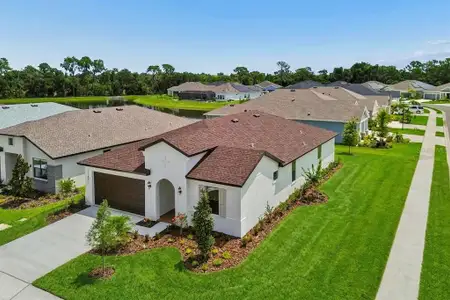 New construction Single-Family house 11841 Moonsail Dr, Parrish, FL 34219 plan 404 - image 2