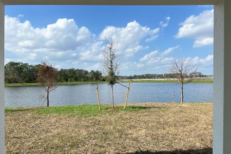 New construction Single-Family house 2006 Iorio St, St. Cloud, FL 34771 Lopez- photo 31 31