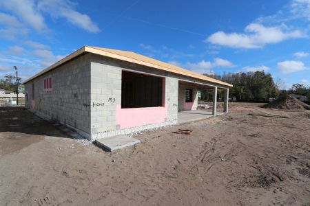 New construction Single-Family house 20027 Oriana Loop, Land O' Lakes, FL 34638 Corina  III- photo 13 13