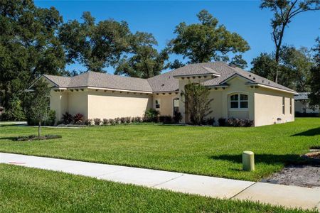 New construction Single-Family house 2210 S Sparkman Ave, Orange City, FL 32763 - image