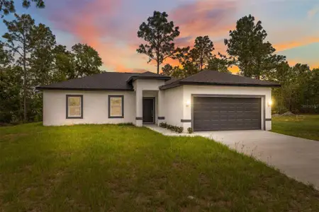New construction Single-Family house 6062 Sw 154Th Pl, Ocala, FL 34473 null- photo 0