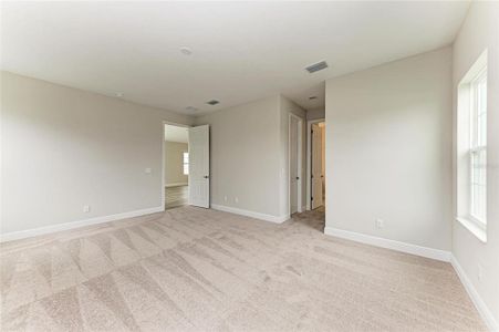 New construction Single-Family house 10198 Surrey Rose Dr, San Antonio, FL 33576 plan Sandpiper - image 18