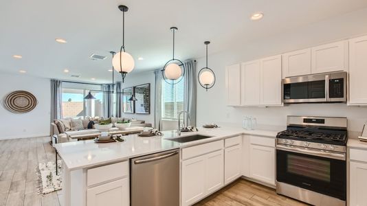 Blossom Rock: Horizon by Lennar in Apache Junction - photo 25 25