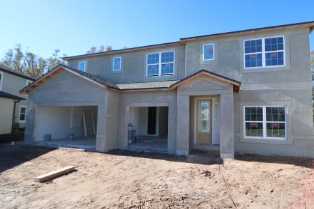 New construction Single-Family house 20125 Oriana Loop, Land O' Lakes, FL 34638 Santina II- photo 94 94