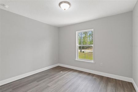 New construction Single-Family house 4372 Mercedes St, Sebring, FL 33872 - image 13