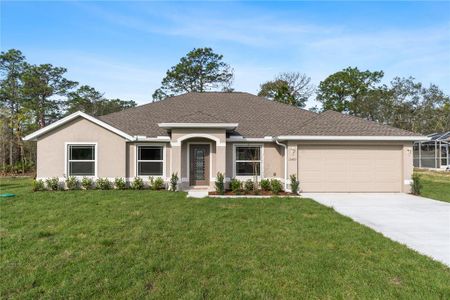 New construction Single-Family house 11513 Phoenix Avenue, Brooksville, FL 34614 - photo 0