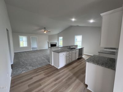 New construction Single-Family house 32 Scotties Ridge Dr, Princeton, NC 27569 null- photo 4 4