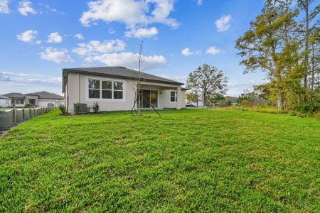 New construction Single-Family house 20219 Oriana Loop, Land O' Lakes, FL 34638 Corina  III- photo 168 168