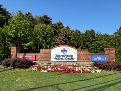 New construction Single-Family house 1616 Savannah Mills Dr, Spartanburg, SC 29303 plan The Summerton - image