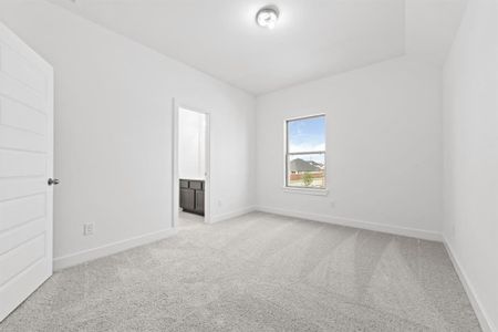 New construction Single-Family house 26420 E Skylight Brook Cir, Montgomery, TX 77316 plan The Terrace - image