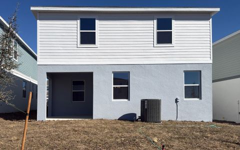 New construction Single-Family house 6859 Spanish Imperial St, Howey-in-the-Hills, FL 34737 plan Wekiva - image 3