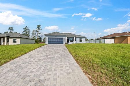 New construction Single-Family house 3370 Sw 129Th Lp, Ocala, FL 34473 - image