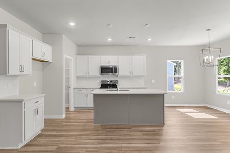New construction Single-Family house 1943 Deercreek Dr, Manning, SC 29102 plan Lawrence - image 15
