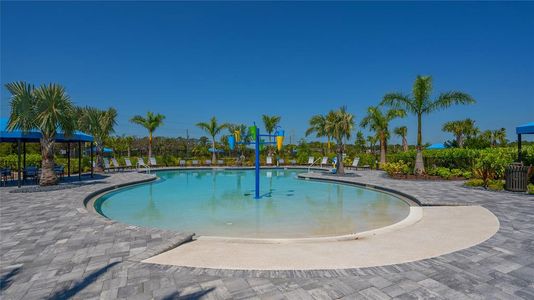 New construction Single-Family house 2309 Blue Mahoe Ln, Sarasota, FL 34240 null- photo 53 53