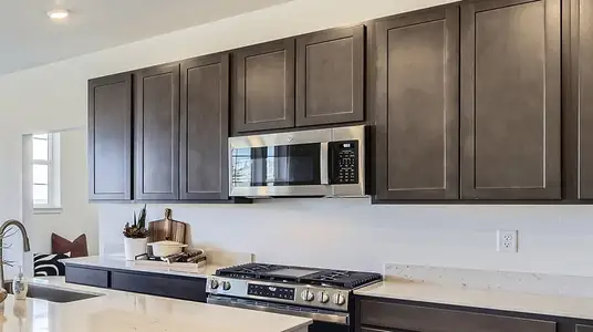 New construction Single-Family house 7456 S Yank Ct, Littleton, CO 80127 plan Stonehaven - image