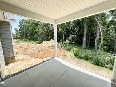 New construction Single-Family house 308 Creeks Edge Dr, Pikeville, NC 27863 - image