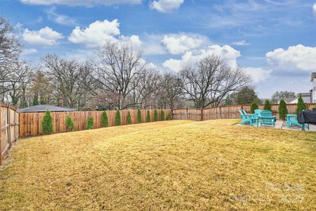 New construction Single-Family house 11009 N Commons Dr, Charlotte, NC 28213 - image 4