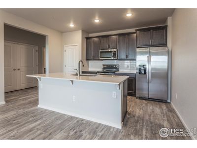 New construction Multi-Family house 1825 Bounty Dr, Unit 4, Windsor, CO 80550 null- photo 5 5