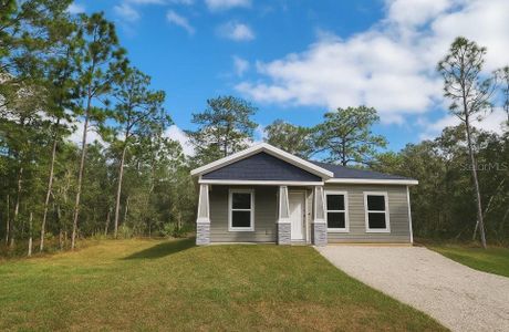 New construction Single-Family house 18082 Parakeet Rd, Brooksville, FL 34614 - image