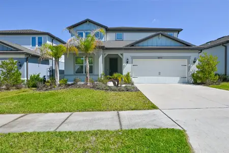 New construction Single-Family house 3070 Forest Meadow Ave, Valrico, FL 33594 - image