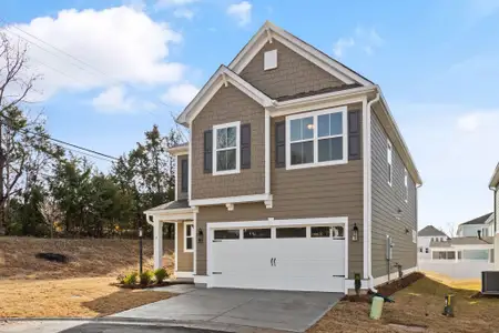 New construction Single-Family house 2 Tuggle Lane Dr, Ridgeville, SC 29472 - image