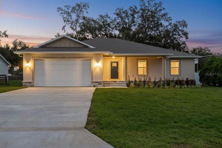 New construction Single-Family house 12038 San Angela Dr, San Antonio, FL 33576 - image