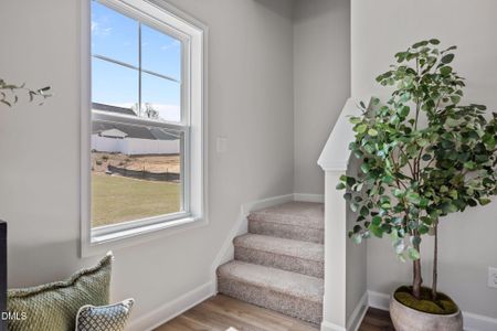 New construction Single-Family house 55 Malbec Wy, Youngsville, NC 27596 - image 17