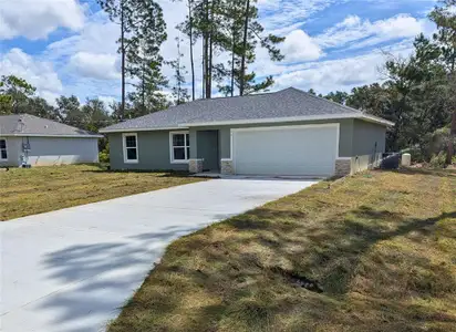 New construction Single-Family house 75 Fisher Trace Dr, Ocklawaha, FL 32179 - image