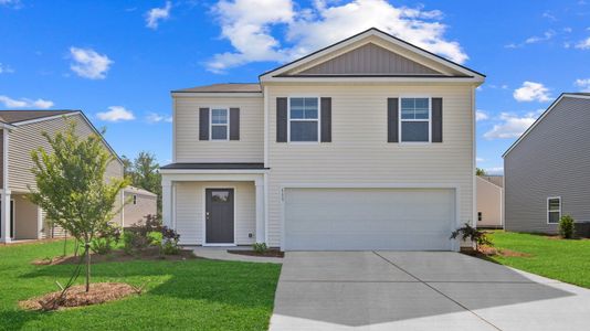 New construction Single-Family house 111 Red Admiral Ln, Savannah, GA 31419 plan Robie - image