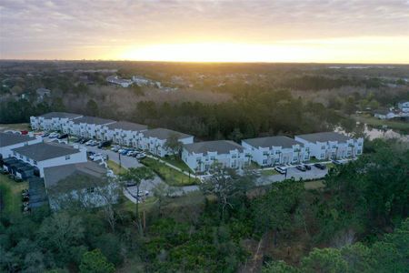 New construction Townhouse house Clermont, FL 34714 null- photo 8 8