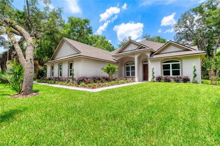 New construction Single-Family house 260 Spreading Oak Lane, Ormond Beach, FL 32174 - photo 0